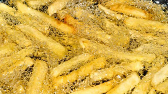 FAQ: Posso usar gordura vegetal hidrogenada em fritadores ÁGUA E ÓLEO?